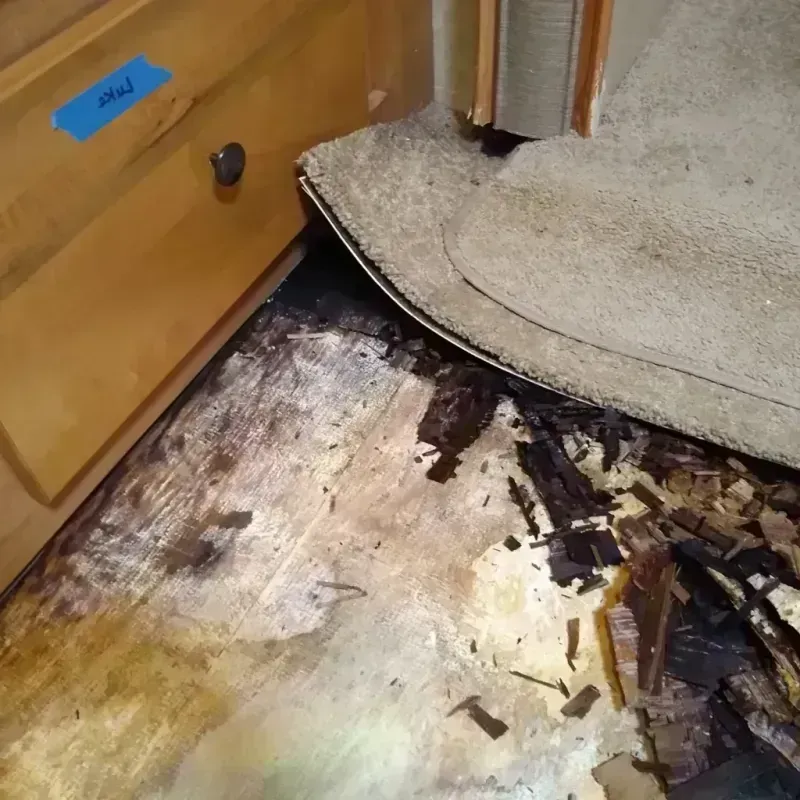 Wood Floor Water Damage in Cullman, AL